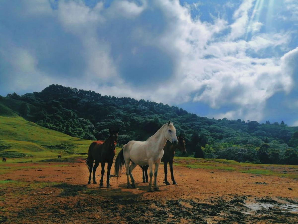 Finca Recreacional Marcelandia Santa Rosa de Cabal Exteriör bild