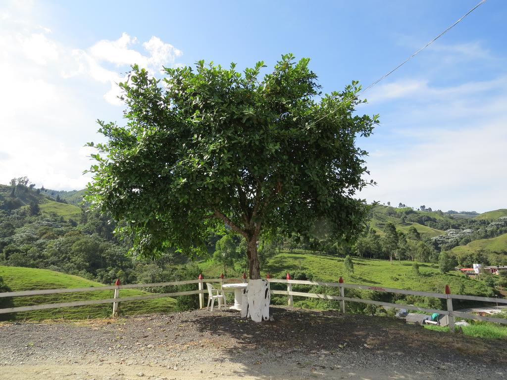 Finca Recreacional Marcelandia Santa Rosa de Cabal Exteriör bild