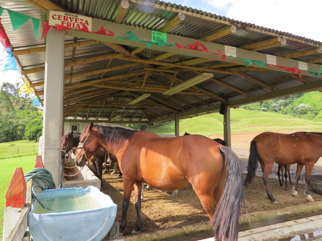 Finca Recreacional Marcelandia Santa Rosa de Cabal Exteriör bild